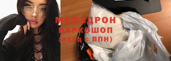 индика Абаза