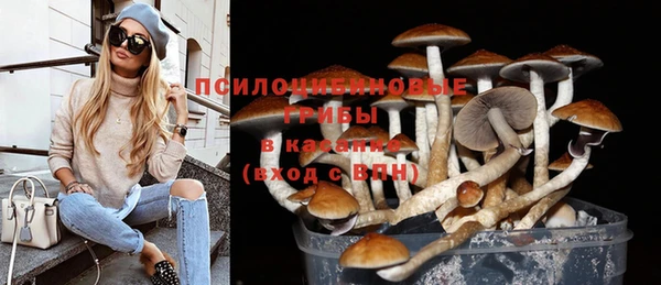 индика Абаза