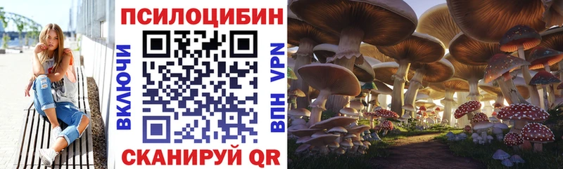 Псилоцибиновые грибы ЛСД  mega зеркало  Полтавская 